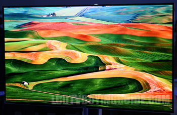 The Best TVs of CES 2012